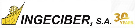 Ingeciber 30th anniversary